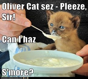 Oliver Cat sez - Pleeze, Sir! Can I haz S'more?