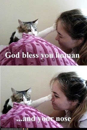 Thank You, Agent of Ceiling Cat!