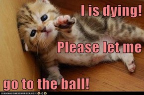 I is dying! Please let me go to the ball!