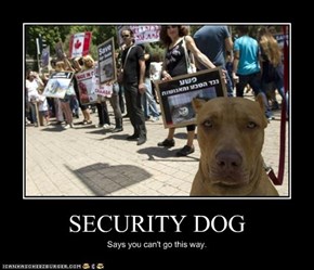 SECURITY DOG