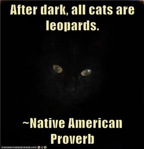 After dark, all cats are leopards.  ~Native American Proverb