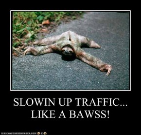 SLOWIN UP TRAFFIC... LIKE A BAWSS!