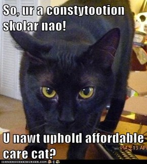 So, ur a constytootion skolar nao!  U nawt uphold affordable care cat?