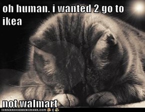 oh human. i wanted 2 go to ikea  not walmart