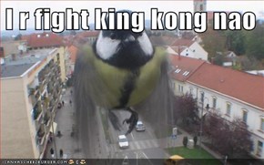 I r fight king kong nao
