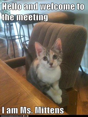 Hello and welcome to the meeting  I am Ms. Mittens