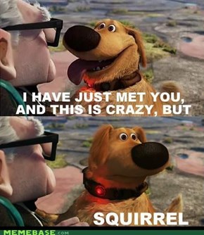 So Call Me.... SQUIRREL!!!!