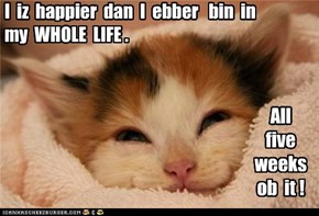 I  iz  happier  dan  I  ebber   bin  in  my  WHOLE  LIFE .