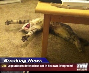 Lego attacks defenceless cat in his own livingroom!