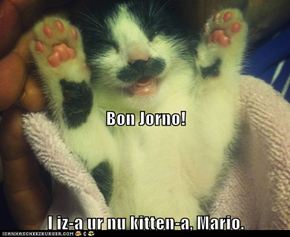 Bon Jorno!  I iz-a ur nu kitten-a, Mario.