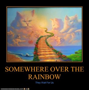 SOMEWHERE OVER THE RAINBOW