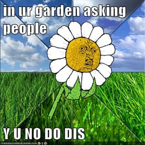 in ur garden asking people  Y U NO DO DIS