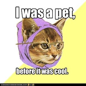 Oh hipsta kitteh