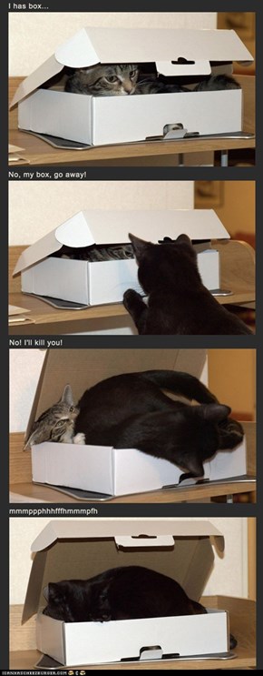 The Battle of the Box