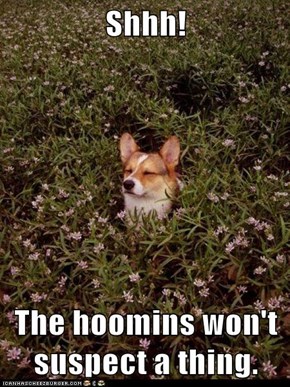 Shhh!  The hoomins won't suspect a thing.