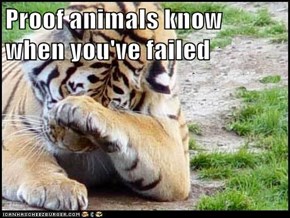 Proof animals know when you've failed