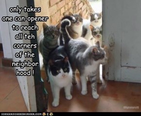 only takes one can-opener to reach all teh corners of the neighbor hood !