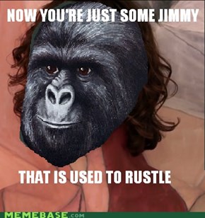 You didn't have to rustle my jimmies