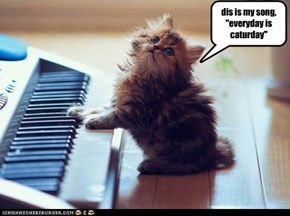 dis is my song, "everyday is caturday"