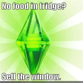 No food in fridge?  Sell the window.