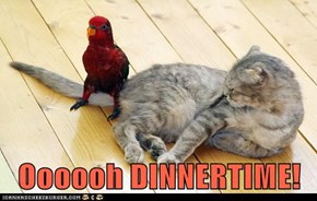 Oooooh DINNERTIME!