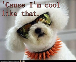 'Cause I'm cool like that.