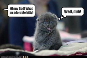 Kitteh knows already.