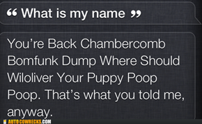 Very Good, Siri!