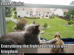 Look, Simba  Everything the light touches is our kingdom