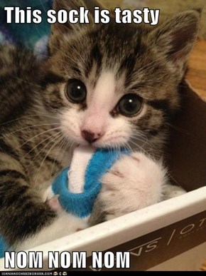 This sock is tasty  NOM NOM NOM