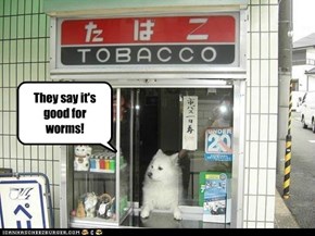 They say it's good for worms!