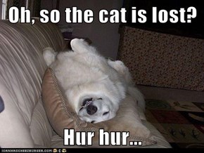 Oh, so the cat is lost?  Hur hur...