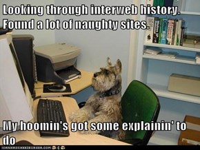 Looking through interweb history.  Found a lot of naughty sites.  My hoomin's got some explainin' to do
