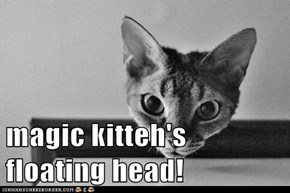 magic kitteh's floating head!