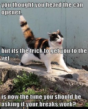 you thought you heard the can opener, but its the trick to get you to the vet, is now the time you should be asking if your breaks work?