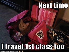 Next time  I travel 1st class too