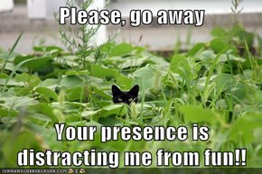 Please, go away  Your presence is distracting me from fun!!
