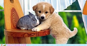 Daily Squee: Interspecies Love - Can't Get Any Cuter