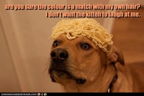 are you sure the colour is a match with my own hair? i don't want the kitteh to laugh at me.