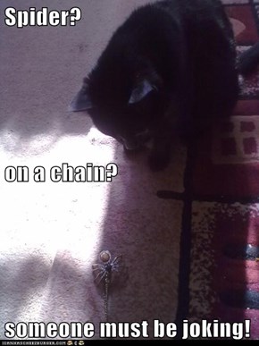 Spider? on a chain? someone must be joking!