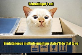 The Copenhagen interpretation of quantum mechanics