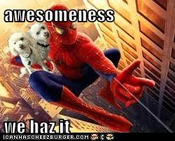 awesomeness   we haz it