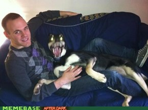 Satan's Dog