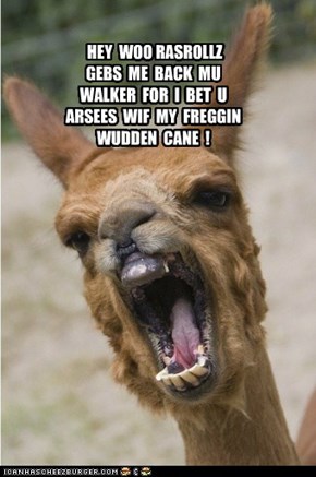 My freggin wudden cane!