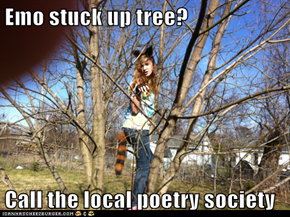 Emo stuck up tree?  Call the local poetry society