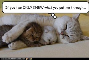 If you two ONLY KNEW what you put me through...