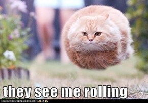 they see me rolling