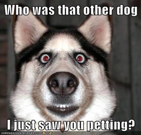Who was that other dog  I just saw you petting?