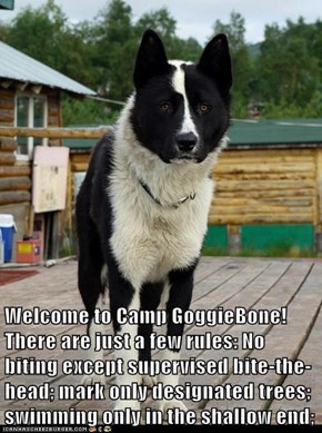 Welcome to Camp GoggieBone! There are just a few rules: No biting except supervised bite-the-head; mark only designated trees; swimming only in the shallow end;