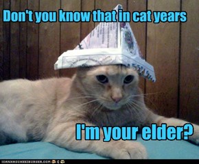 Don't you know that in cat years
